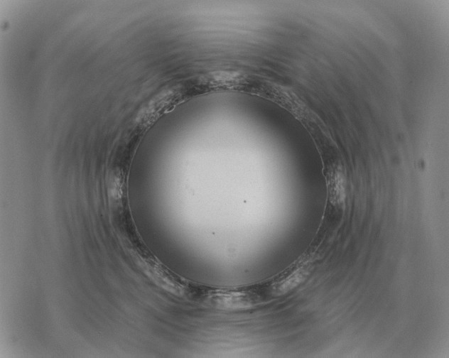 X0000072980472200608111746