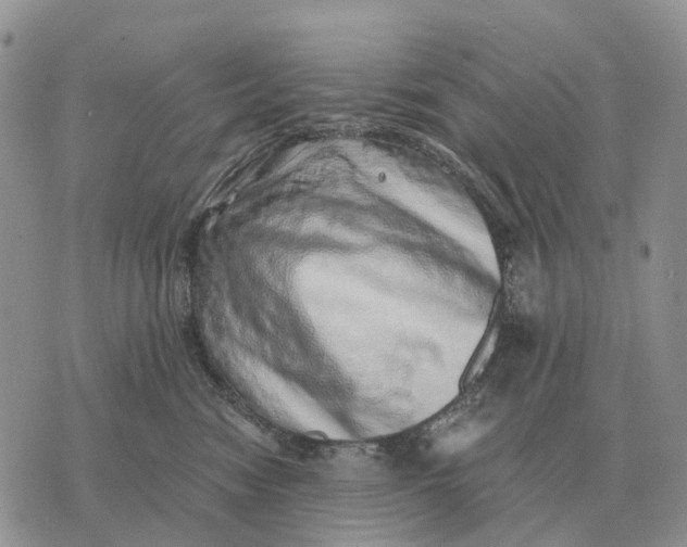 X0000072980474200608111746