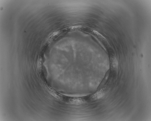 X0000072980475200608111746