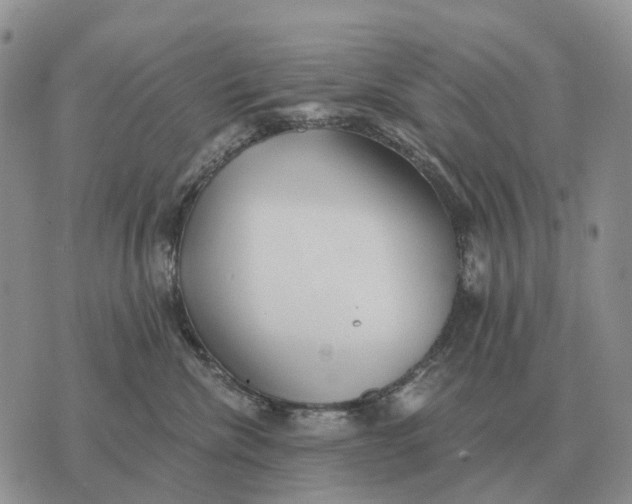 X0000072980476200608111746