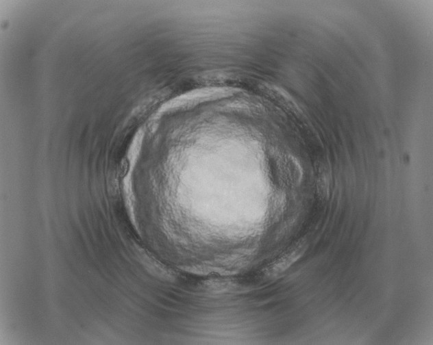 X0000072980477200608111746