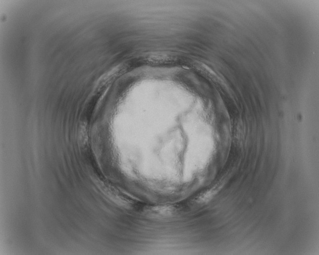 X0000072980478200608111746