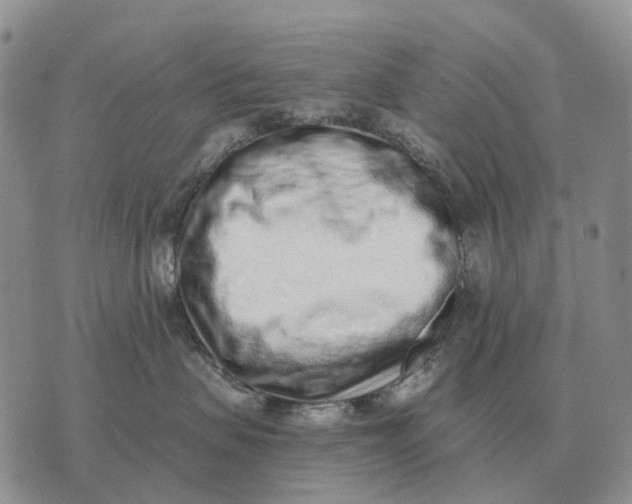 X0000072980479200608111746