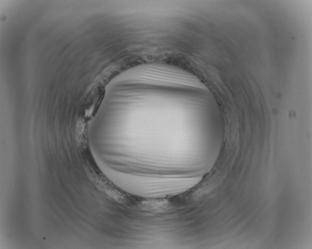 X0000072980480200608111746