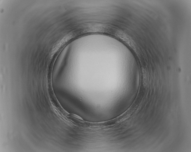 X0000072980482200608111745