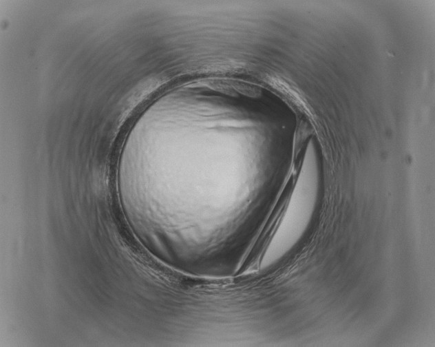 X0000072980483200608111745