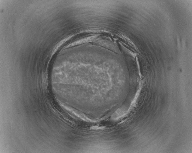 X0000072980484200608111745