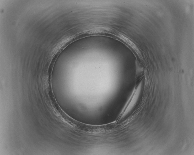 X0000072980485200608111745