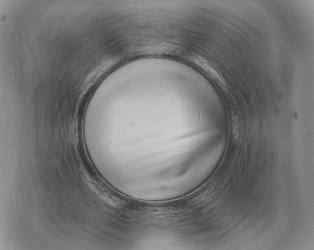 X0000072980486200608111745