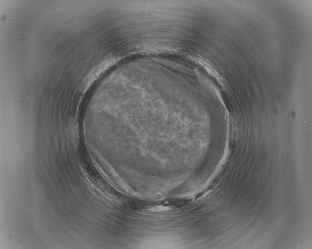 X0000072980488200608111745