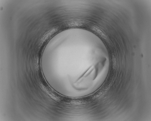 X0000072980490200608111745