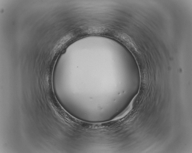 X0000072980491200608111745