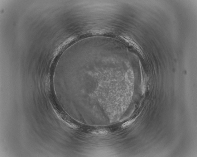 X0000072980492200608111745