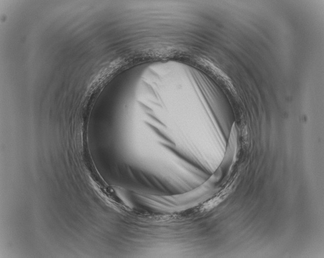 X0000072980493200608111745