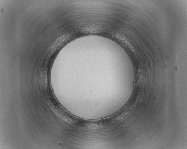 X0000072980494200608111745