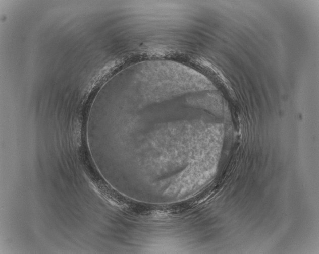 X0000072980496200608111745