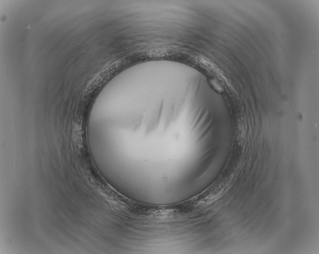 X0000072980497200608111745