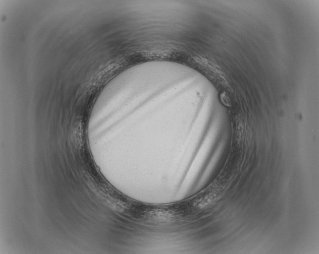 X0000072980498200608111745