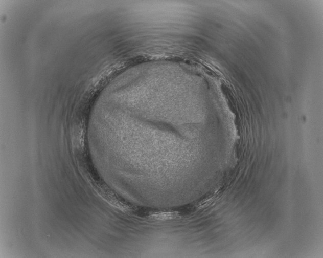 X0000072980499200608111745