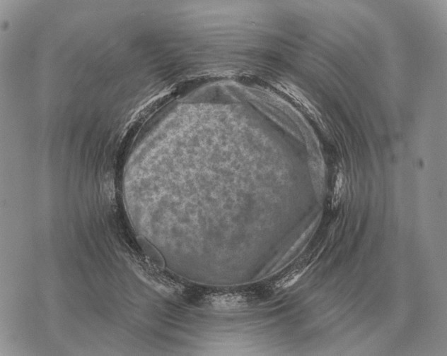 X0000072980500200608111745