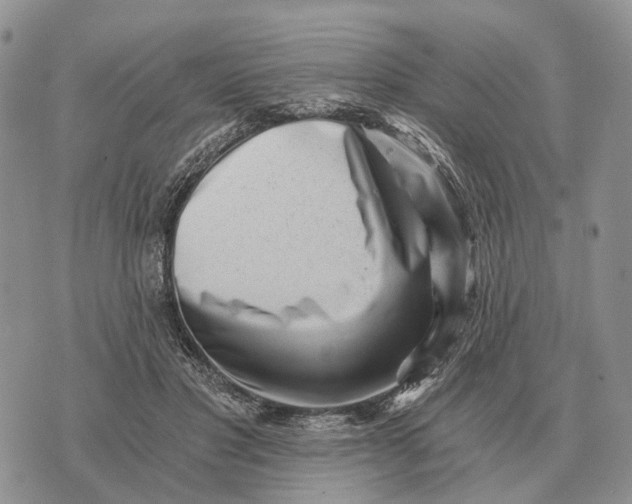 X0000072980501200608111745