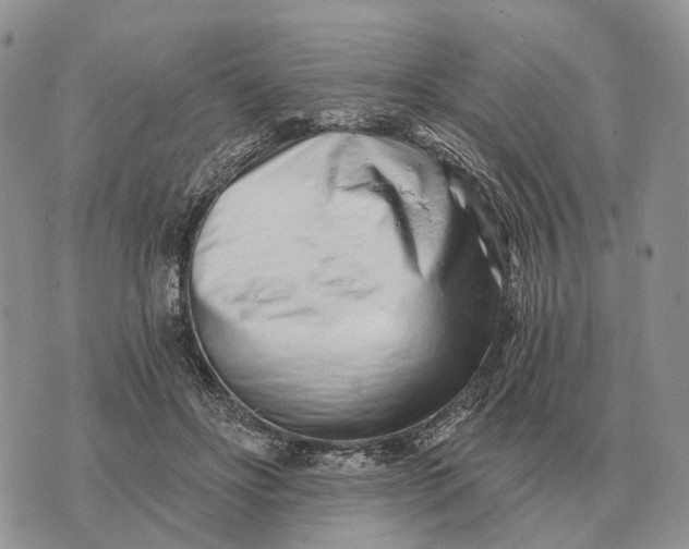 X0000072980502200608111745