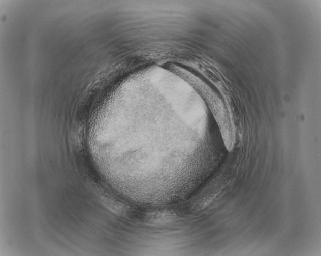 X0000072980503200608111745