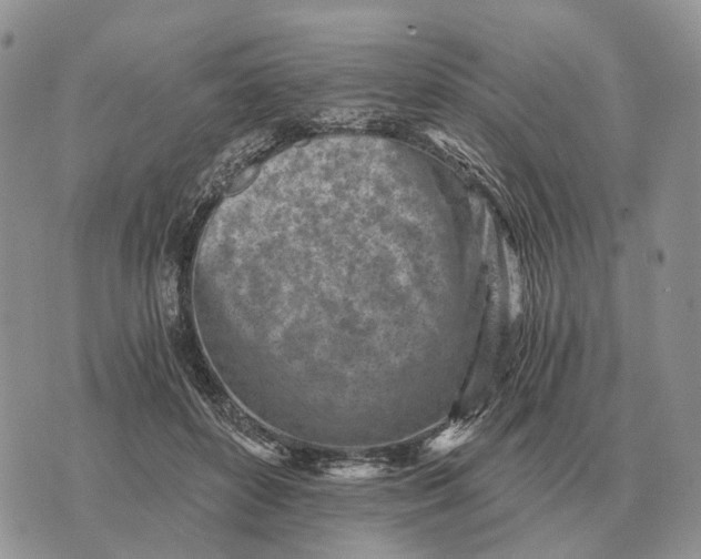 X0000072980504200608111745