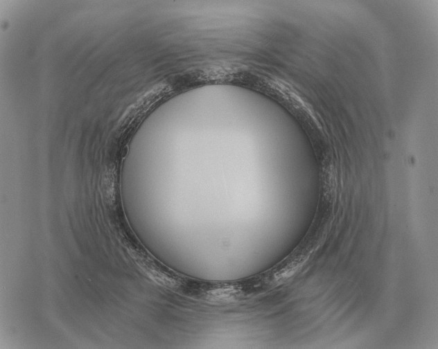 X0000072980505200608111745