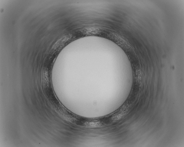 X0000072980506200608111745