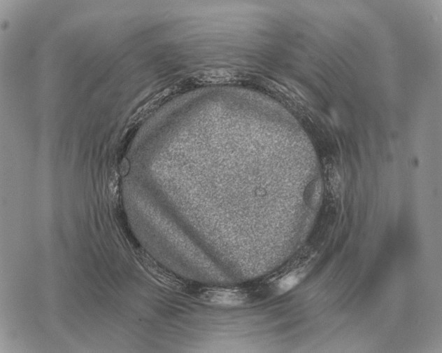 X0000072980507200608111745