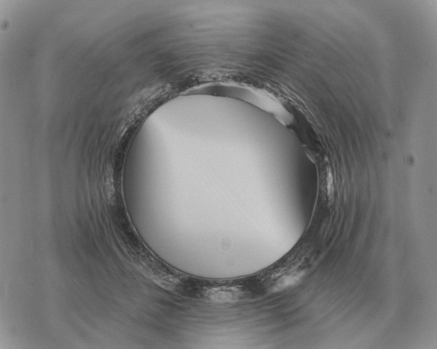 X0000072980508200608111745