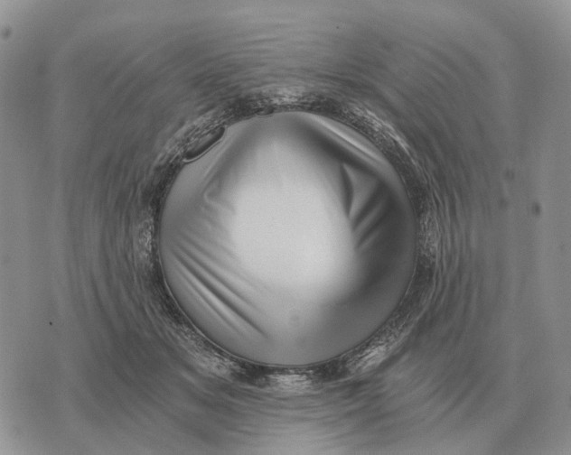 X0000072980509200608111745