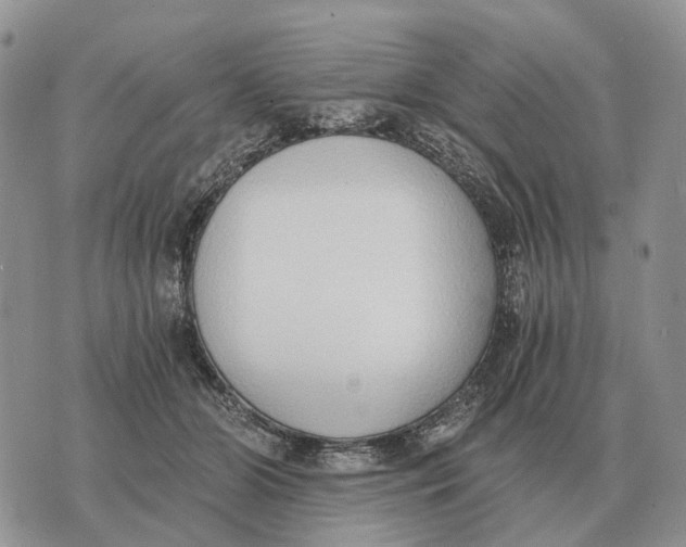 X0000072980510200608111745