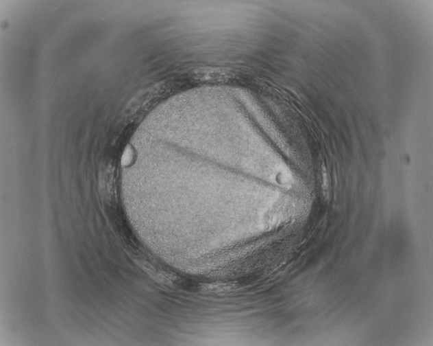 X0000072980511200608111745