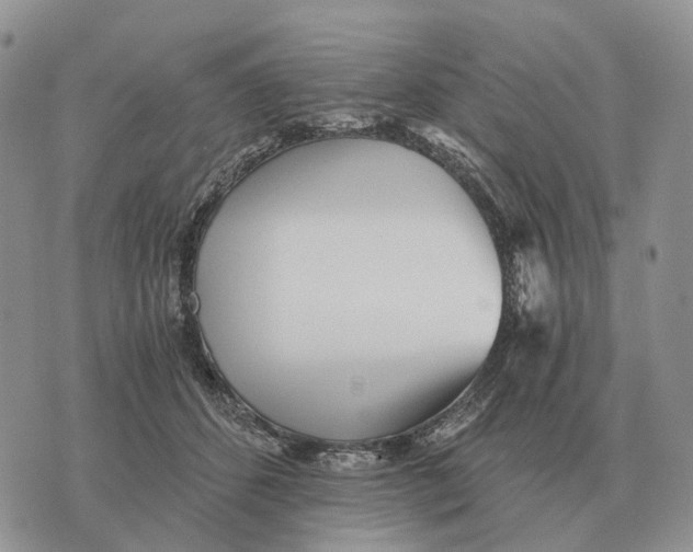 X0000072980512200608111745