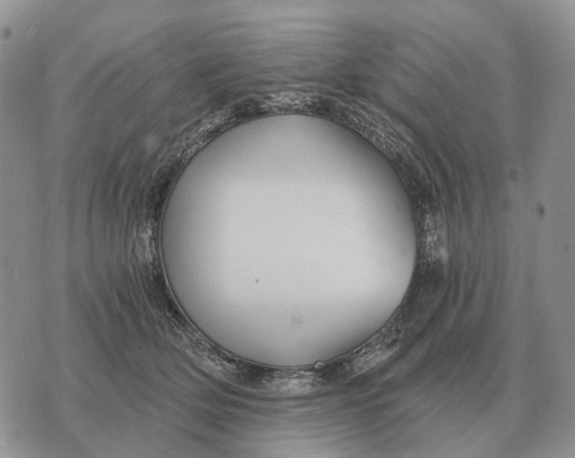 X0000072980514200608111744