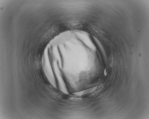 X0000072980515200608111744