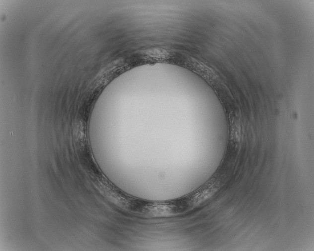 X0000072980518200608111744