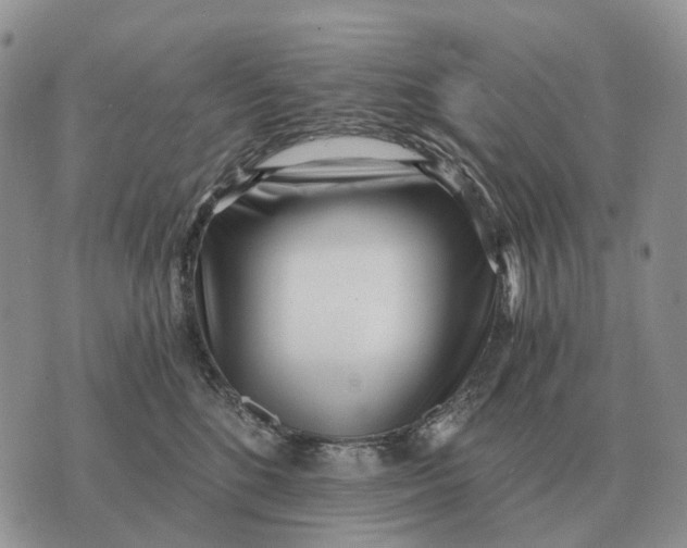 X0000072980520200608111744