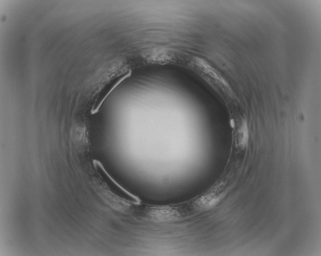 X0000072980521200608111744