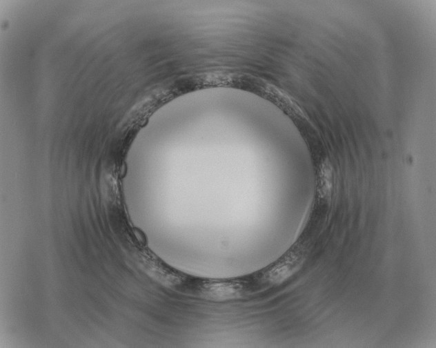 X0000072980522200608111744