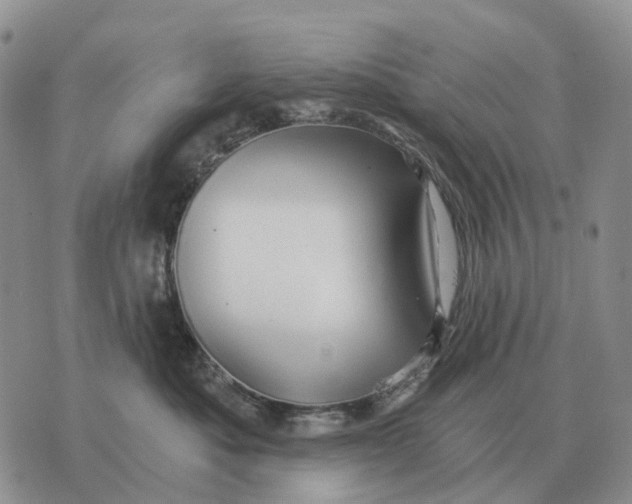 X0000072980525200608111744