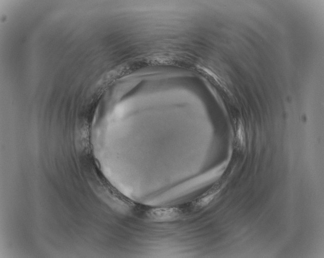 X0000072980526200608111744