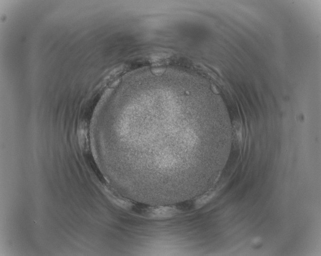 X0000072980527200608111744