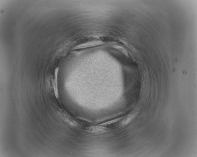 X0000072980528200608111744