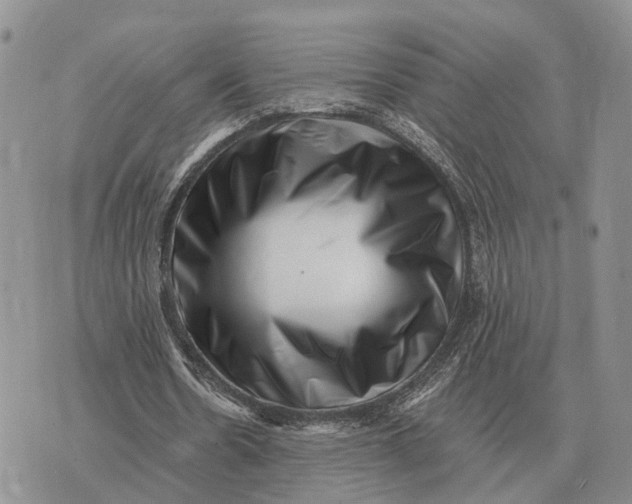 X0000072980530200608111744