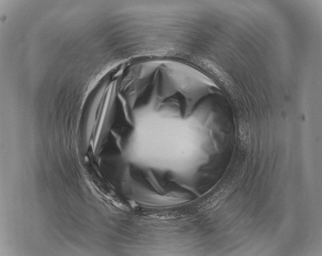 X0000072980532200608111744