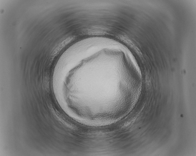 X0000072980533200608111744