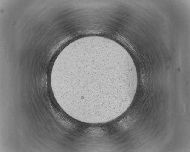 X0000072980534200608111744